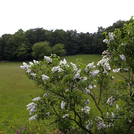 Herrenrest Georgsmarienhütte